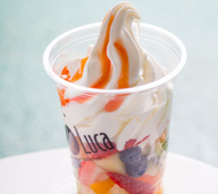 Fruity_FroYo_Blogg